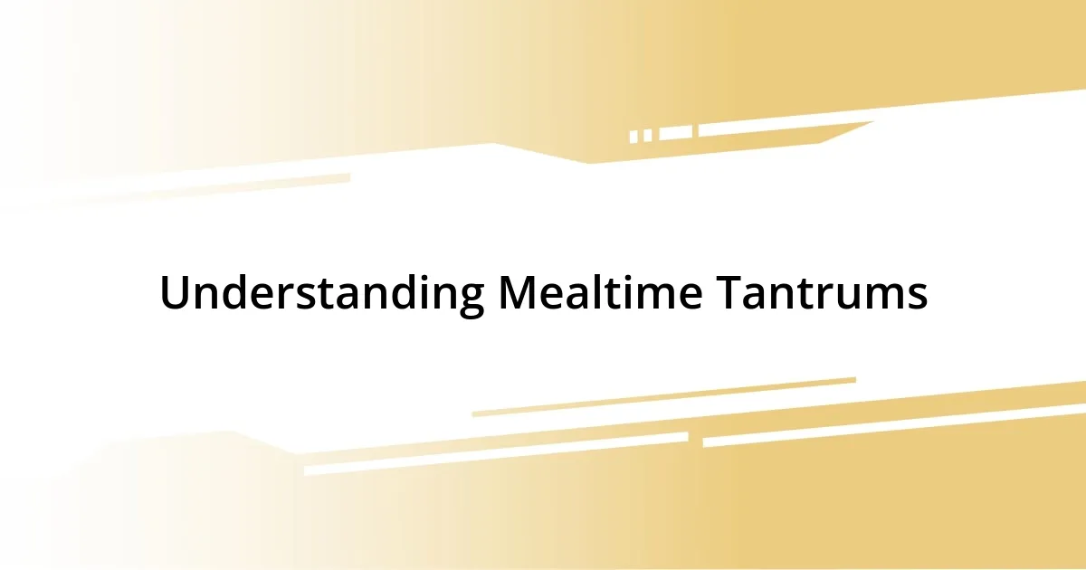 Understanding Mealtime Tantrums