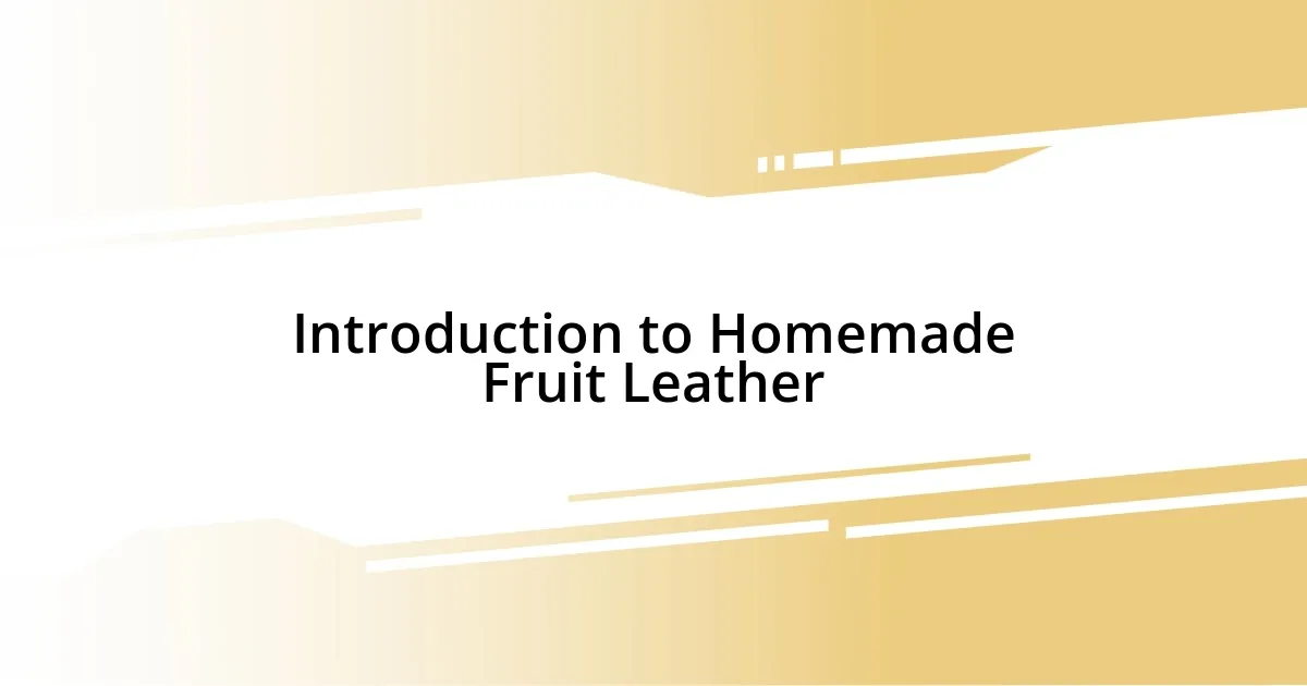 Introduction to Homemade Fruit Leather