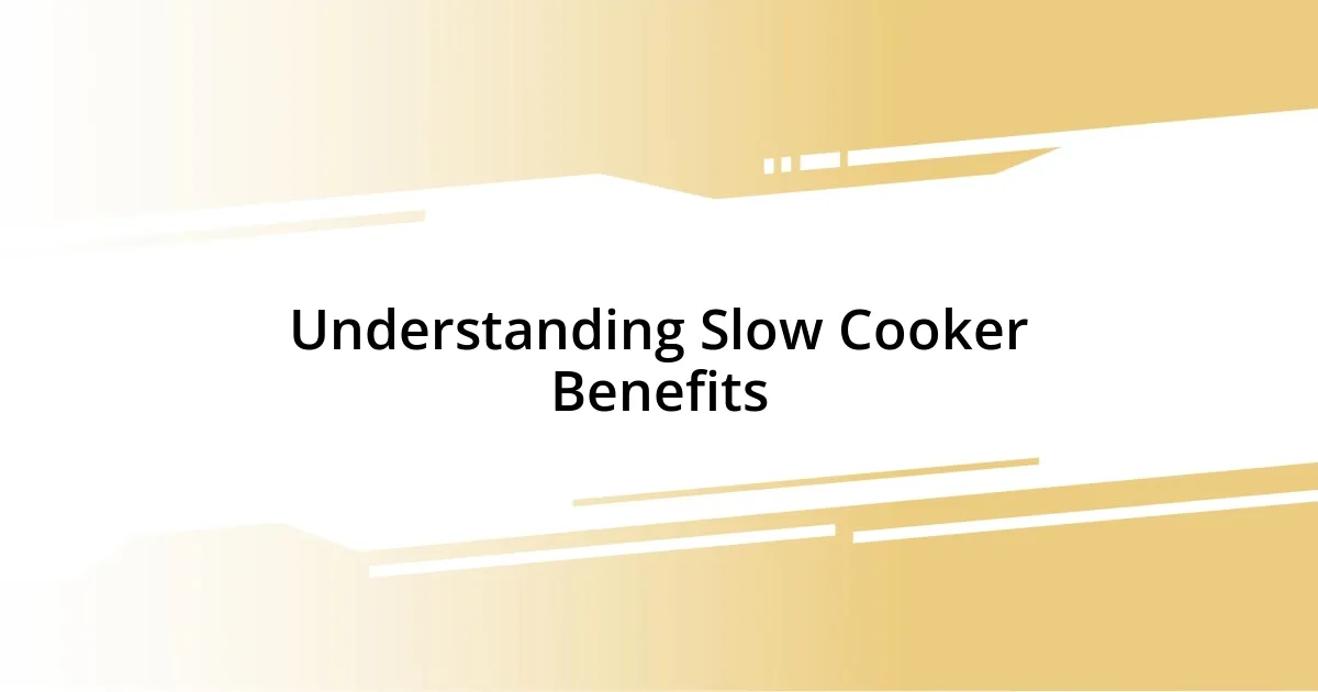 Understanding Slow Cooker Benefits