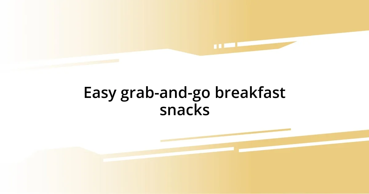 Easy grab-and-go breakfast snacks